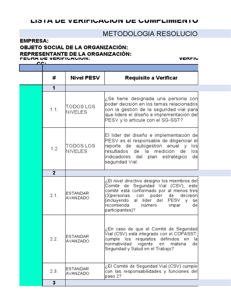 terminar-pesv-pdf-auditor-a-seguridad-vial