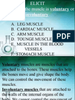 Grade 4 PPT - Science - Q2 - Bones That Protect The Internal Organs