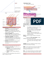 Chapter 5 Anatomy and Physiology