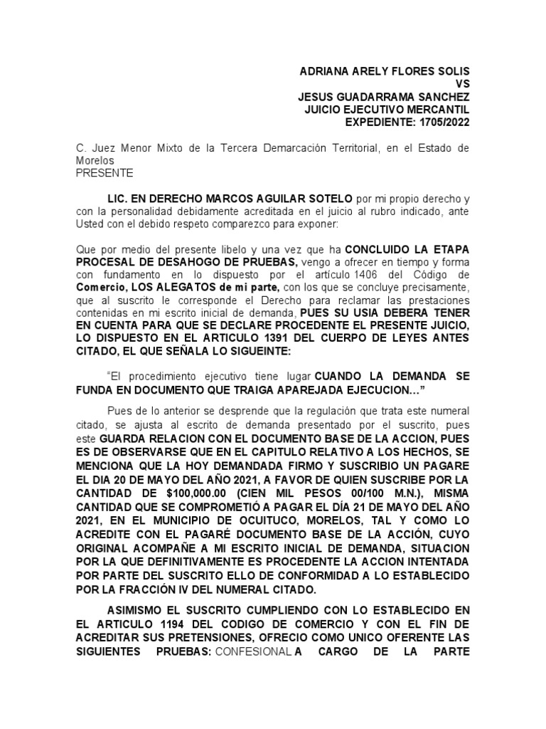 Alegatos Parte Actora | PDF | Derecho