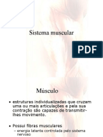aula 05 sistema muscular