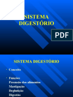 Aula 10 Sistema Digestivo