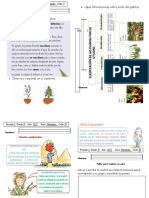 Clasificación y Nutrición de Las Plantas