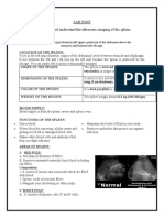 Lab No1 Ultrasound