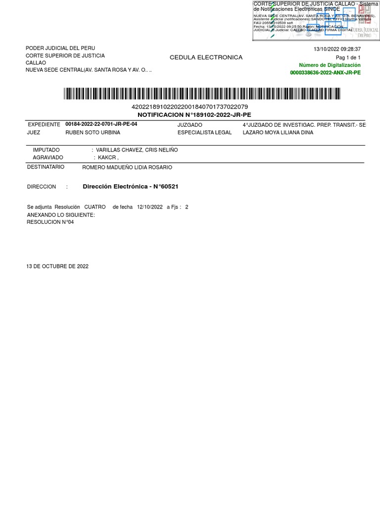 Exp. 00184-2022-22-0701-JR-PE-04 - Consolidado - 189102-2022 | PDF