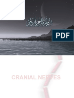 Cranial Nerves Part A