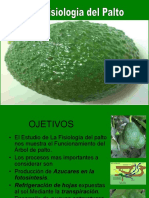 176171437-Fisiologia-Del-Cultivo-de-Palto