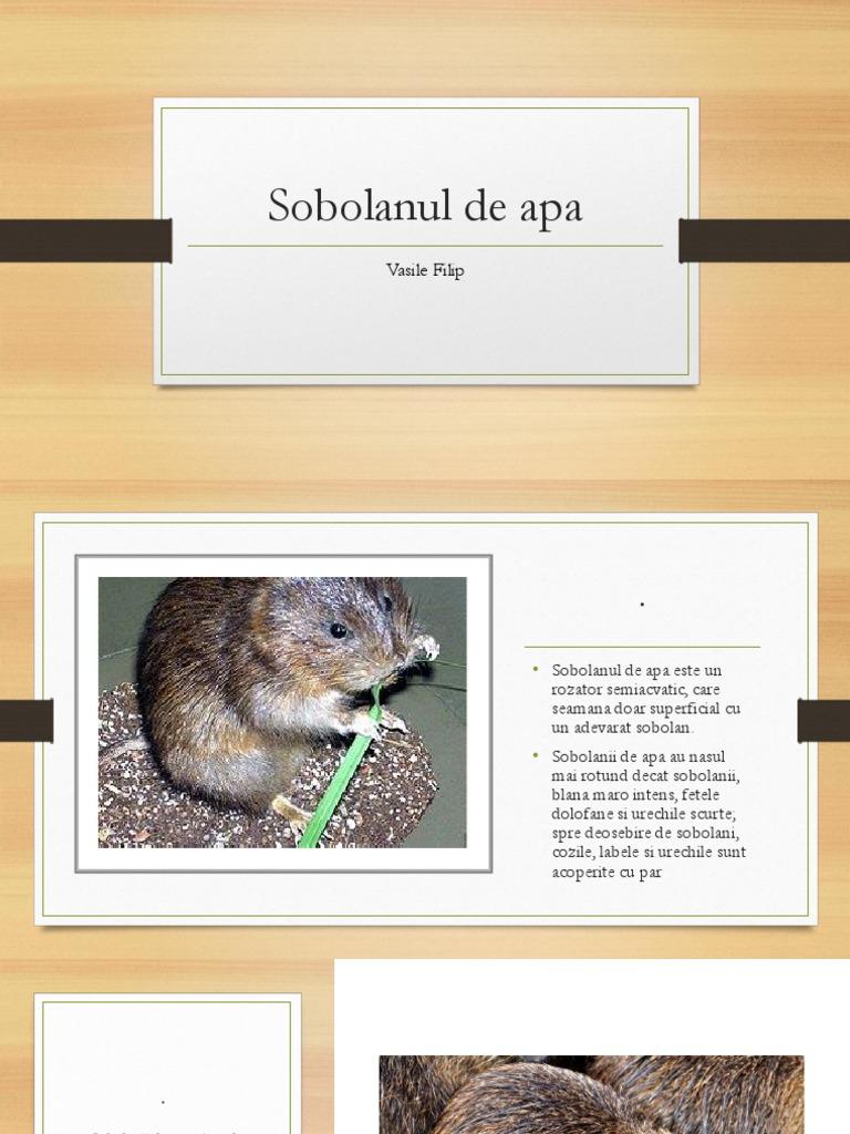 Sobolan de Apa | PDF