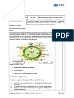 34 - Biologia e Geologia - 10º Ano - Fase Química Da Fotossíntese