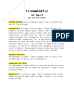 Lab Report - Fermentation - Juan Cruz D