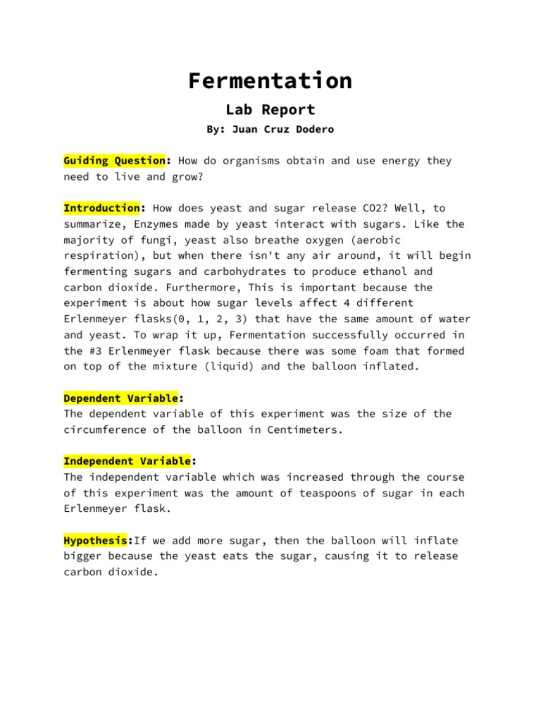Lab report fermentation juan cruz d download free pdf