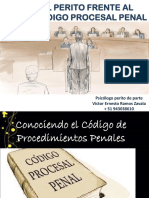 Rol Del Perito Frente Al Nuevo Código Procesal Penal