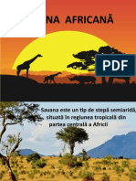 Savana Africana