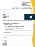 Formato Evaluación Psicologica Ilse Ramirez