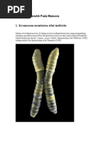 Download Substansi Genetik Pada Manusia by Dinnar Kusumawati Deden SN6108865 doc pdf