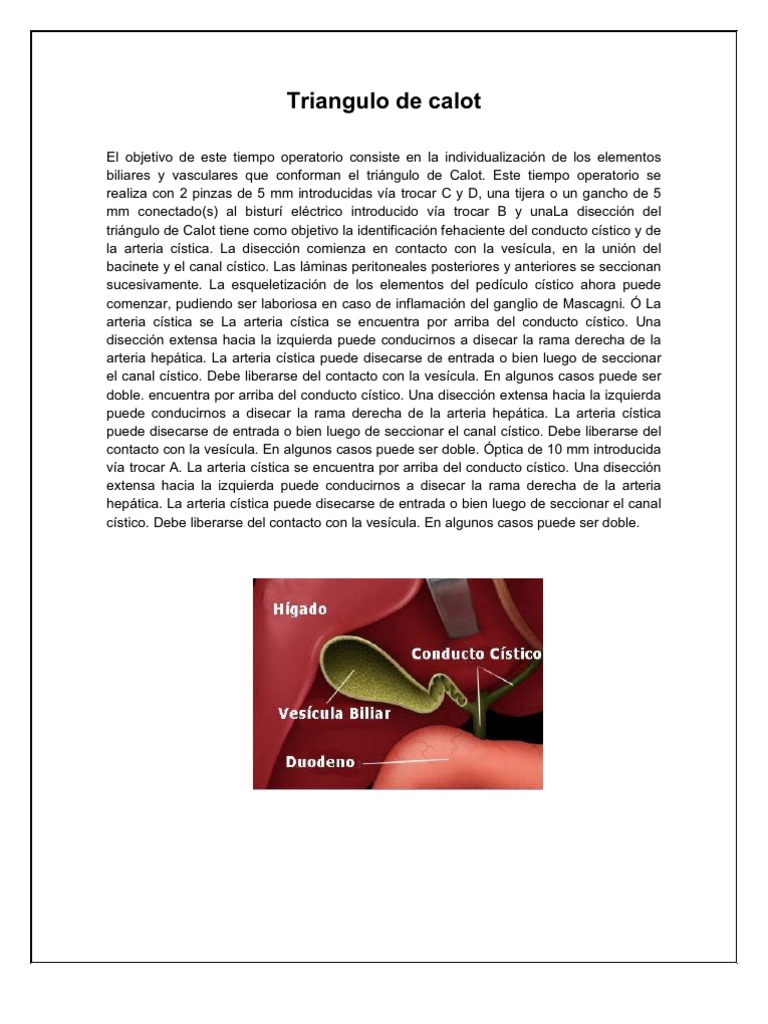 Triangle Of Calot Pdf , Triangulation – APCHKQ