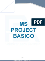Ms Projet - Basico