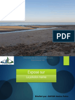 L2-TD.-Filière-Ecologie-Biologie-et-Biotechnologie.-module-Développement-durable.-pollution-marine-01