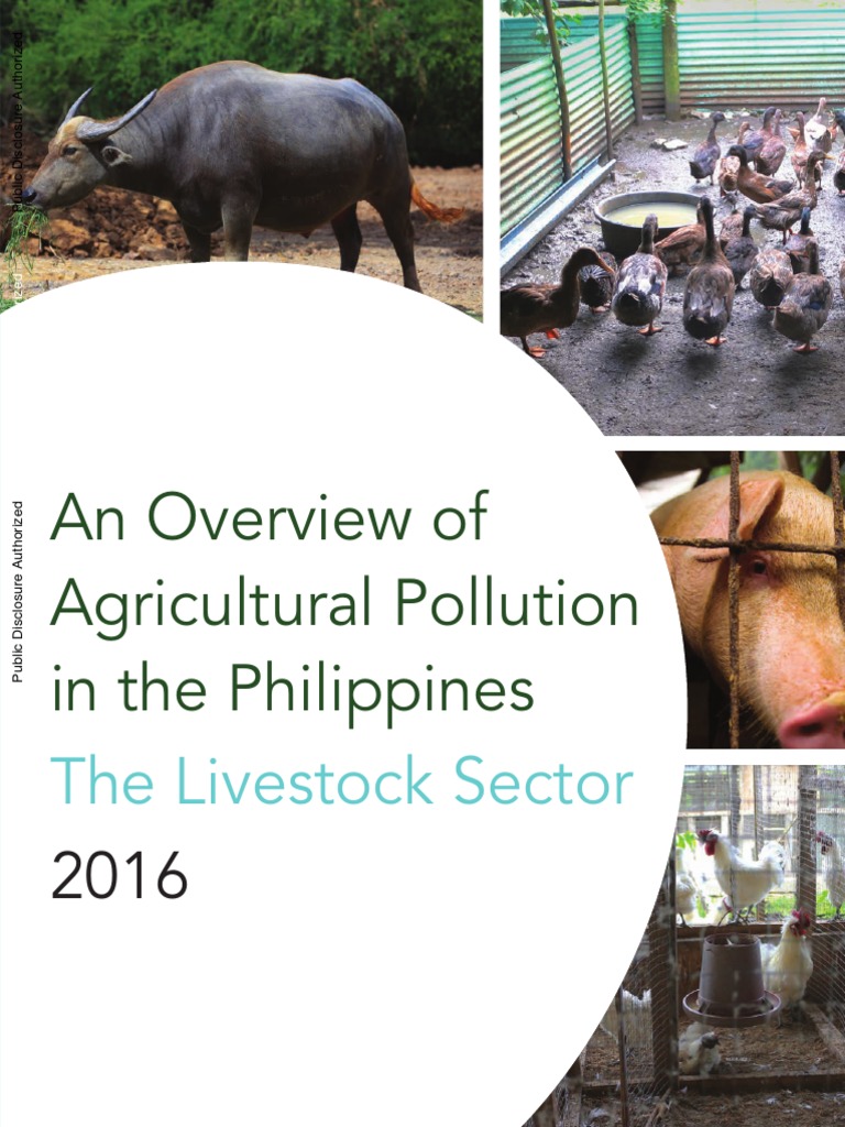 research title about pollution in the philippines