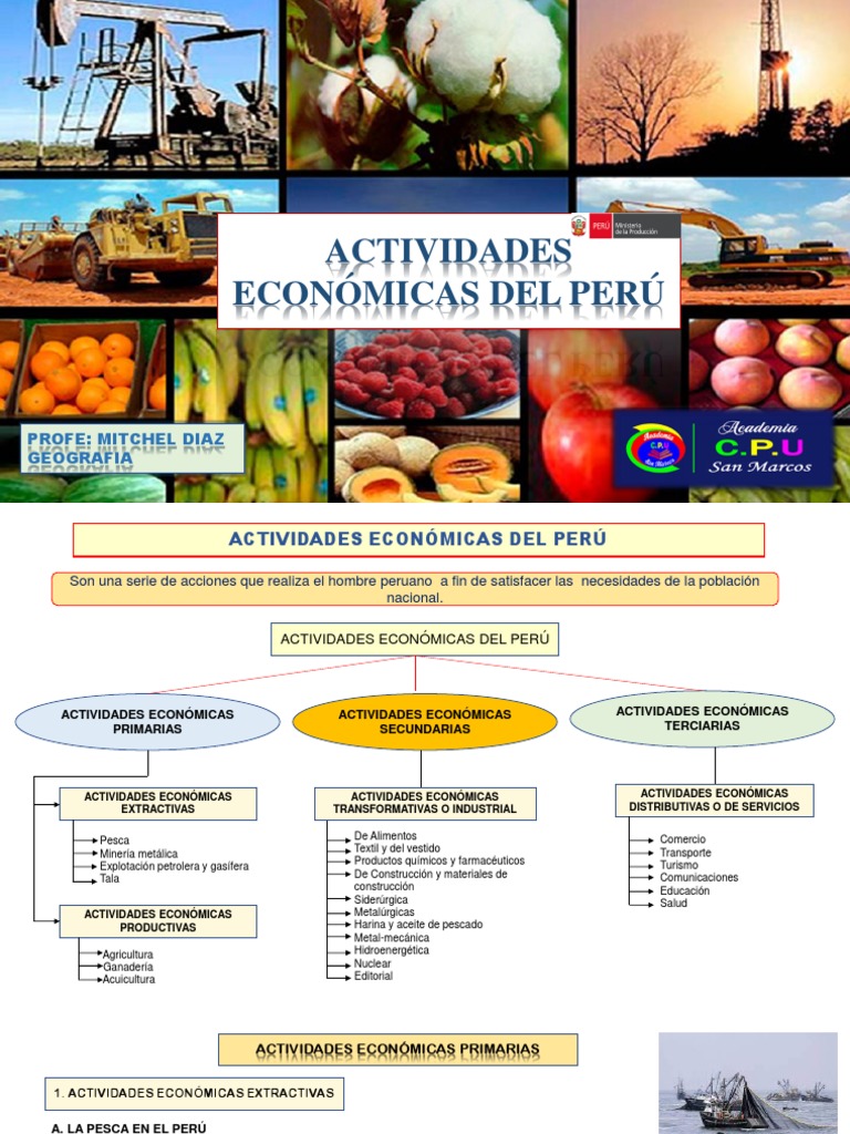Las Actividades Economicas Del Perú | PDF | Minería | Perú