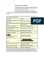  NEUROFISIO Córtex Cerebral, Sistema Límbico e Atividade Cerebral