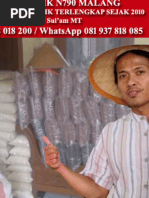 Download Jual Beras l Usaha BERAS l Beras HITAM l Kandungan BERAS l Jenis BERAS l Beras MURAH l Beras MERAH l Beras ORGANIK l Distributor BERAS l Produksi Beras l Supplier BERAS l Tanaman ORGANIK l MAKANAN Organik l PERTANIAN Organik l PADI Organik l Beras PUTIH l Beras INDONESIA l Agen Beras Merah l by Grosir Beras Organik Malang SN61090569 doc pdf