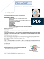 L-8 Anatomia