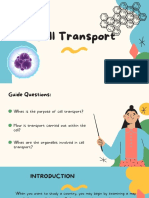 Cell Transport Guide