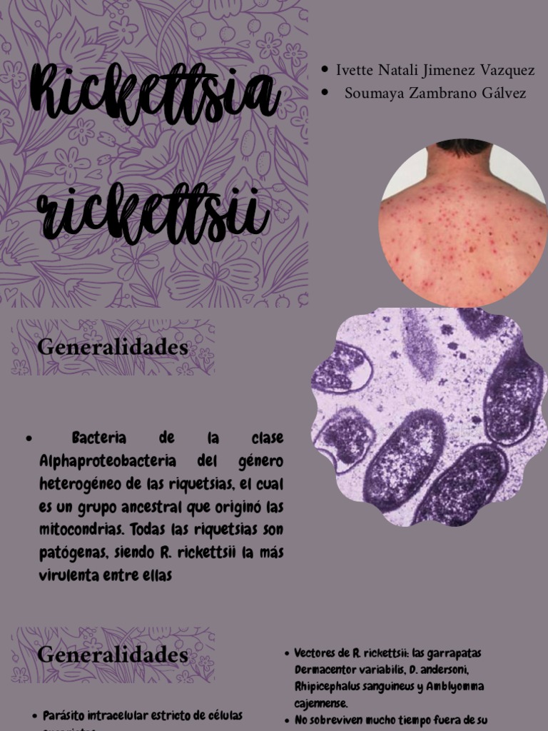 Morfología y patogenia de Rickettsia rickettsii | PDF | Hogar ...