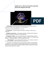 Embriogeneza Sistemului Nervos Central - Neuropsihologie 3