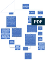 Mara Conceptual Programa de Investigacion Segun Leandro Cañibano