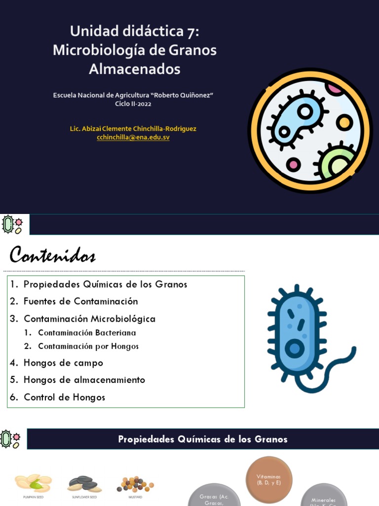 Microbiología de Granos Almacenados | PDF | Micotoxinas | Cereales
