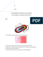 Eni Tri Mastuti 20A1 (UTS MIKROBIOLOGI KLINIS)