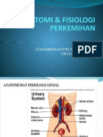 Anatomi & Fisiologi Perkemihan
