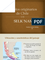 Power Point Pueblos Originarios de Chile LOS SELK NAM