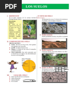 Tipos de Suelo para Niños de Primaria | PDF | Suelo | Ciencias de la Tierra