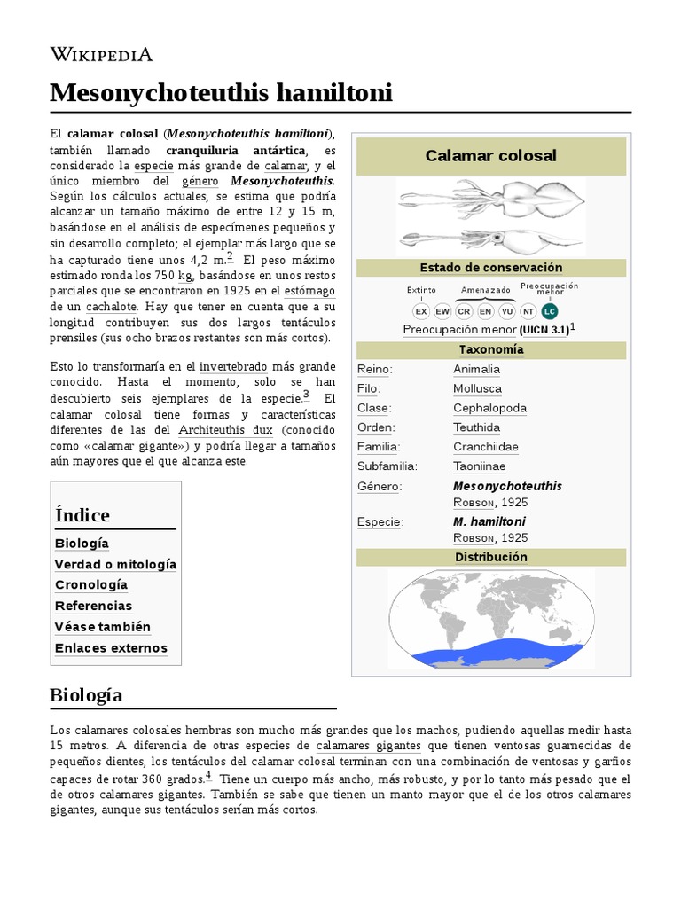Mesonychoteuthis Hamiltoni PDF Moluscos