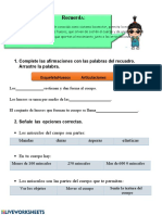 Sistema Locomotor 2