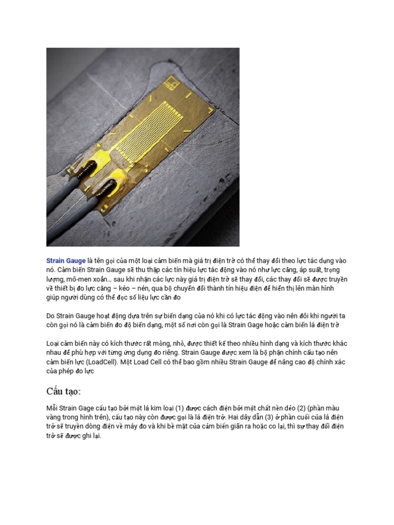 Strain Gauge PDF