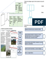 Creación de trípticos informativos