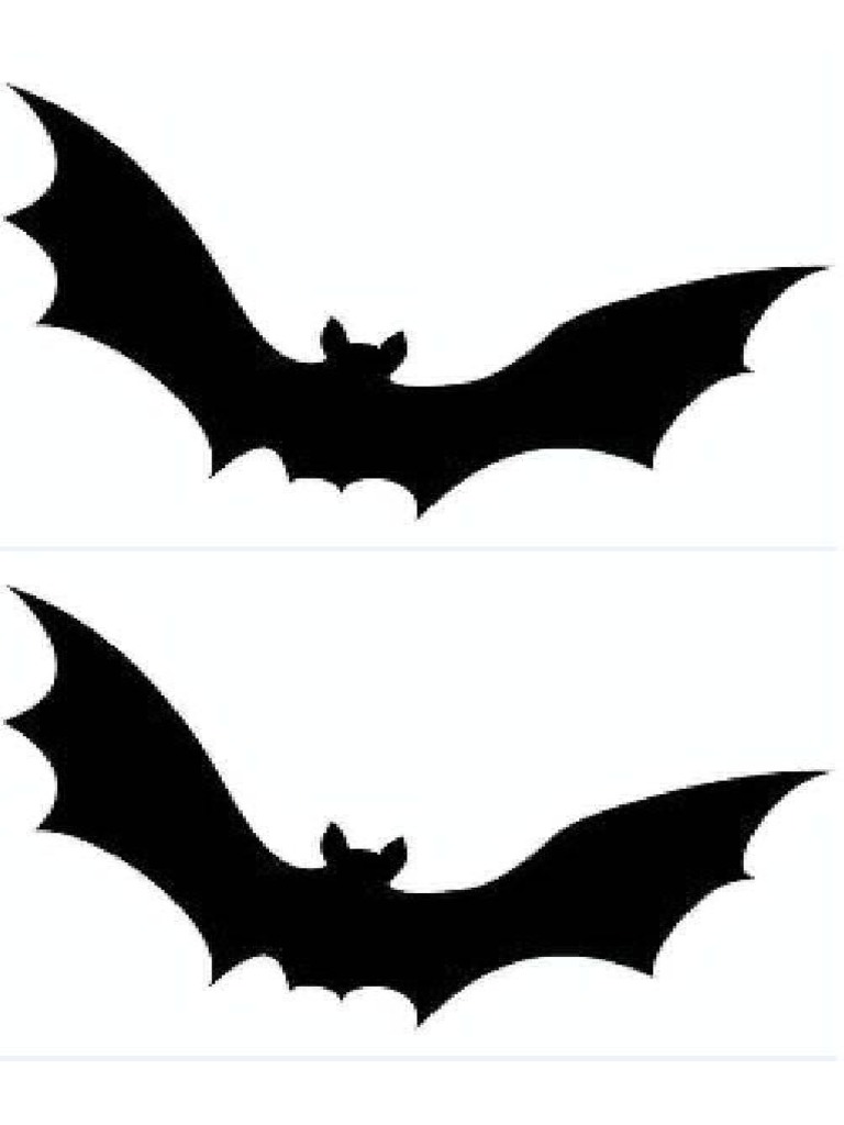 Bat PDF