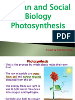 Photosynthesis