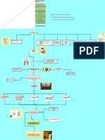 Proceso Extraoridinario