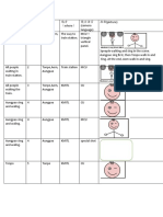 Storyboard