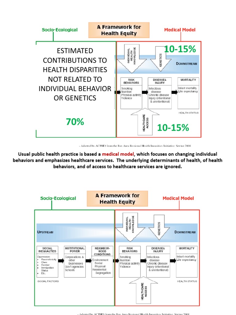 Health Disparities Beyond Behavior & Genetics | PDF