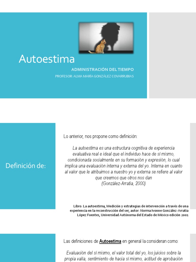 Autoestima y Autoconocimiento en la Vida | PDF | Liderazgo | Motivación