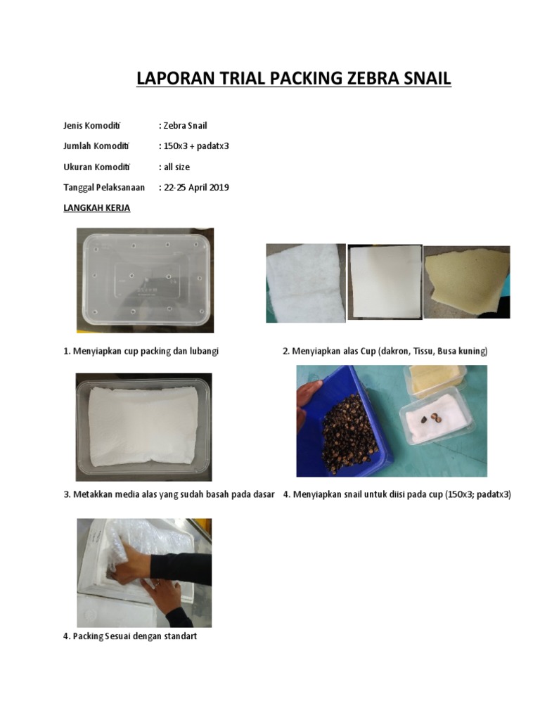 Hasil Pengamatan Packing Zebra Snail | PDF