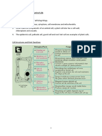 Chapter 2: Cell As A Basic Unit of Life