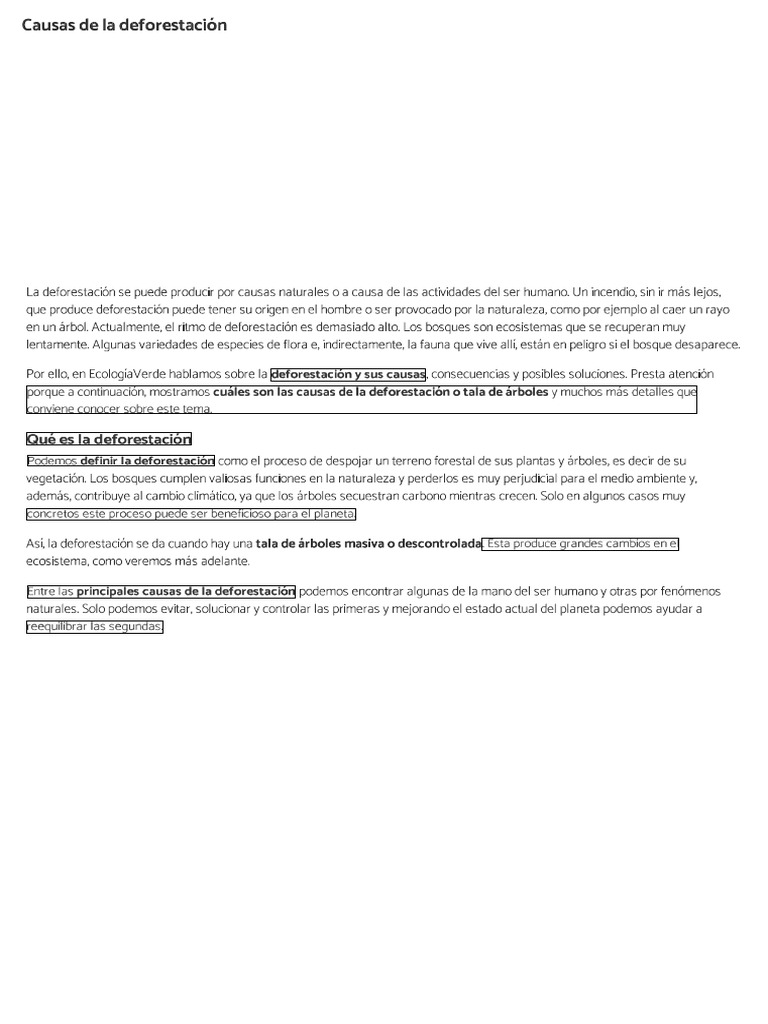 Causas De La Deforestaci n Ecologiaverde PDF