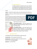 Anatomia Aparell Respiratori